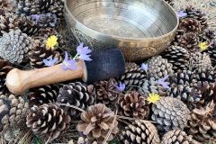 sound-healing9